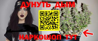 стаф Донецк